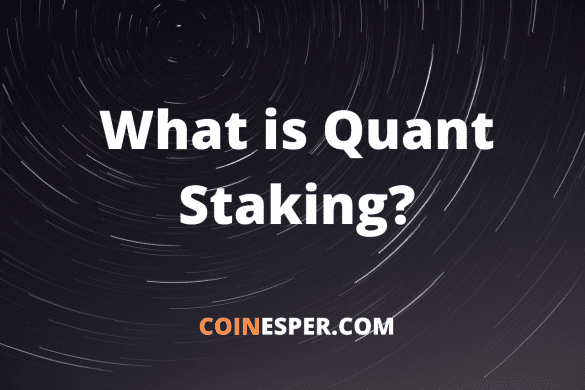 What is Quant Staking